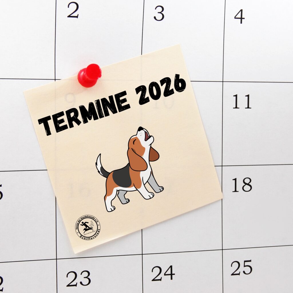Termine 2026