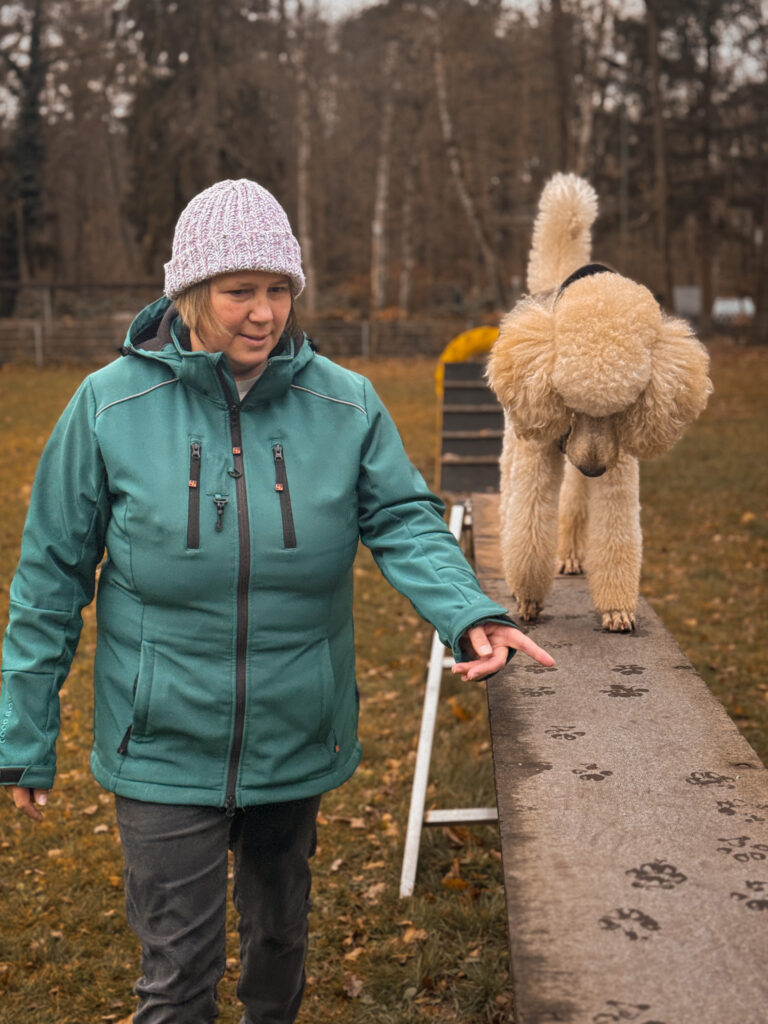 Ab jetzt auch THS im Hundeverein!